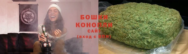 индика Армянск