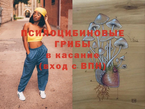 jwh Аркадак