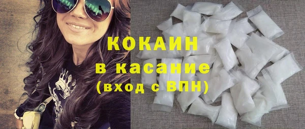 индика Армянск