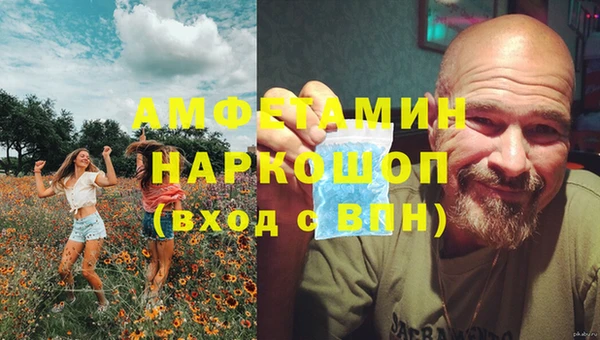 индика Армянск