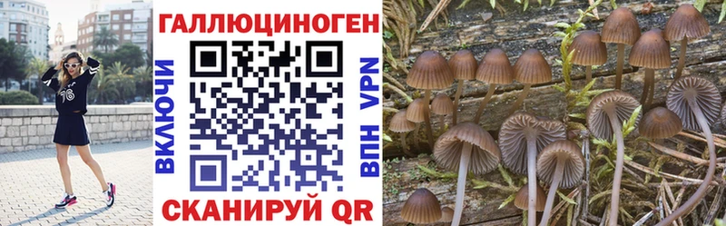 Псилоцибиновые грибы мицелий Купить где Тула